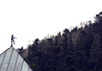 A silhouette of a figure playing a trumpet is perched on a rooftop, with a misty forest in the background. The scene is atmospheric and serene, with the forest extending into the foggy distance.