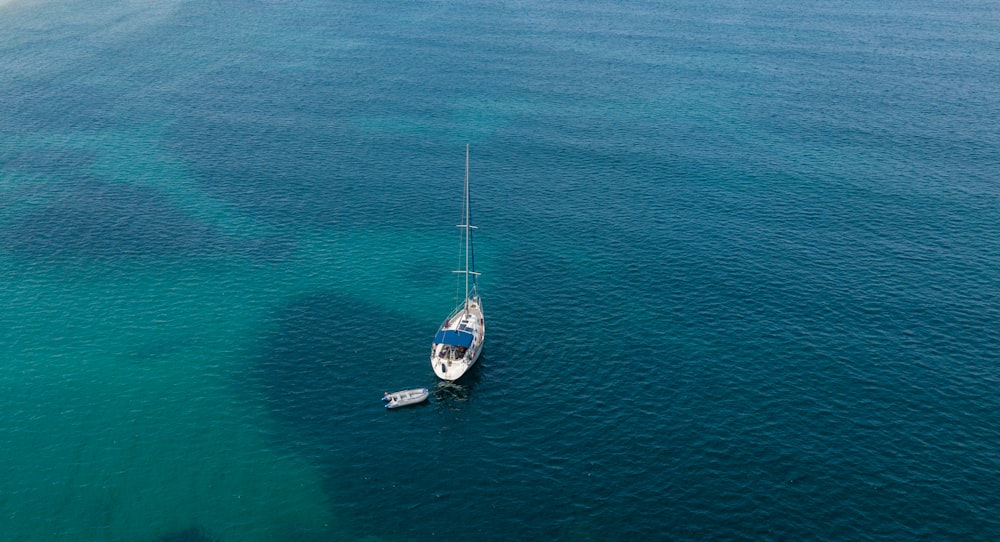 white and black boat on sea during daytime