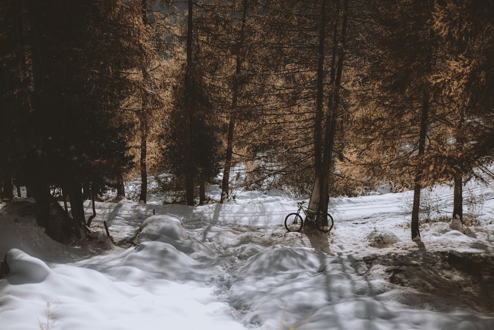 snow covered ground with trees