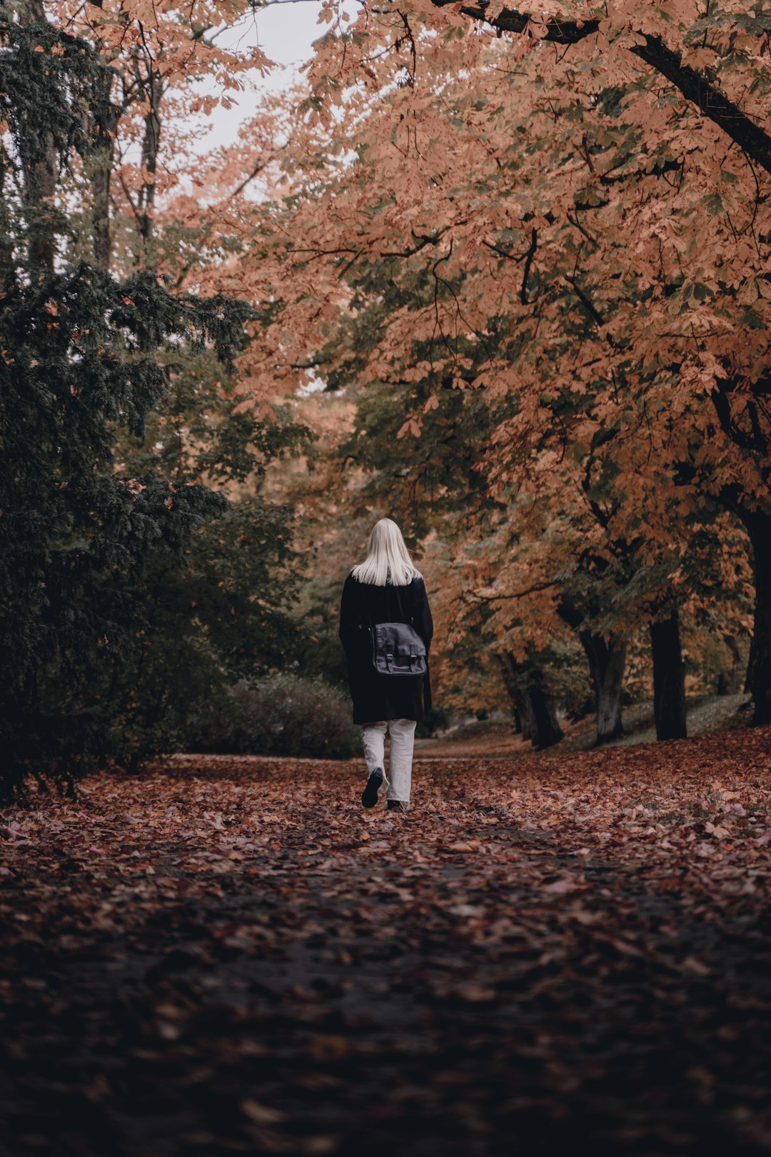 woman in black jacket standing on brown leaves covered ground