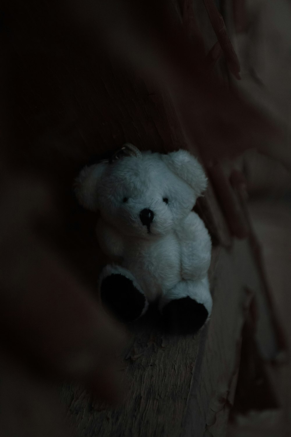 white bear plush toy on brown wooden table