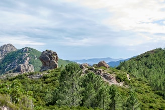 green trees on mountain under white clouds during daytime