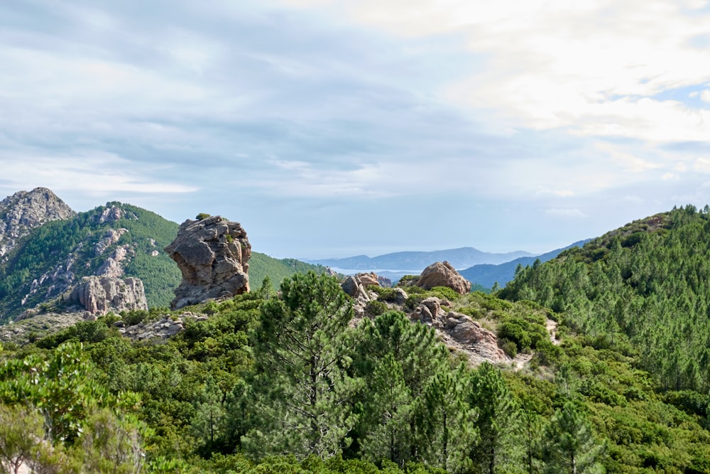 green trees on mountain under white clouds during daytime