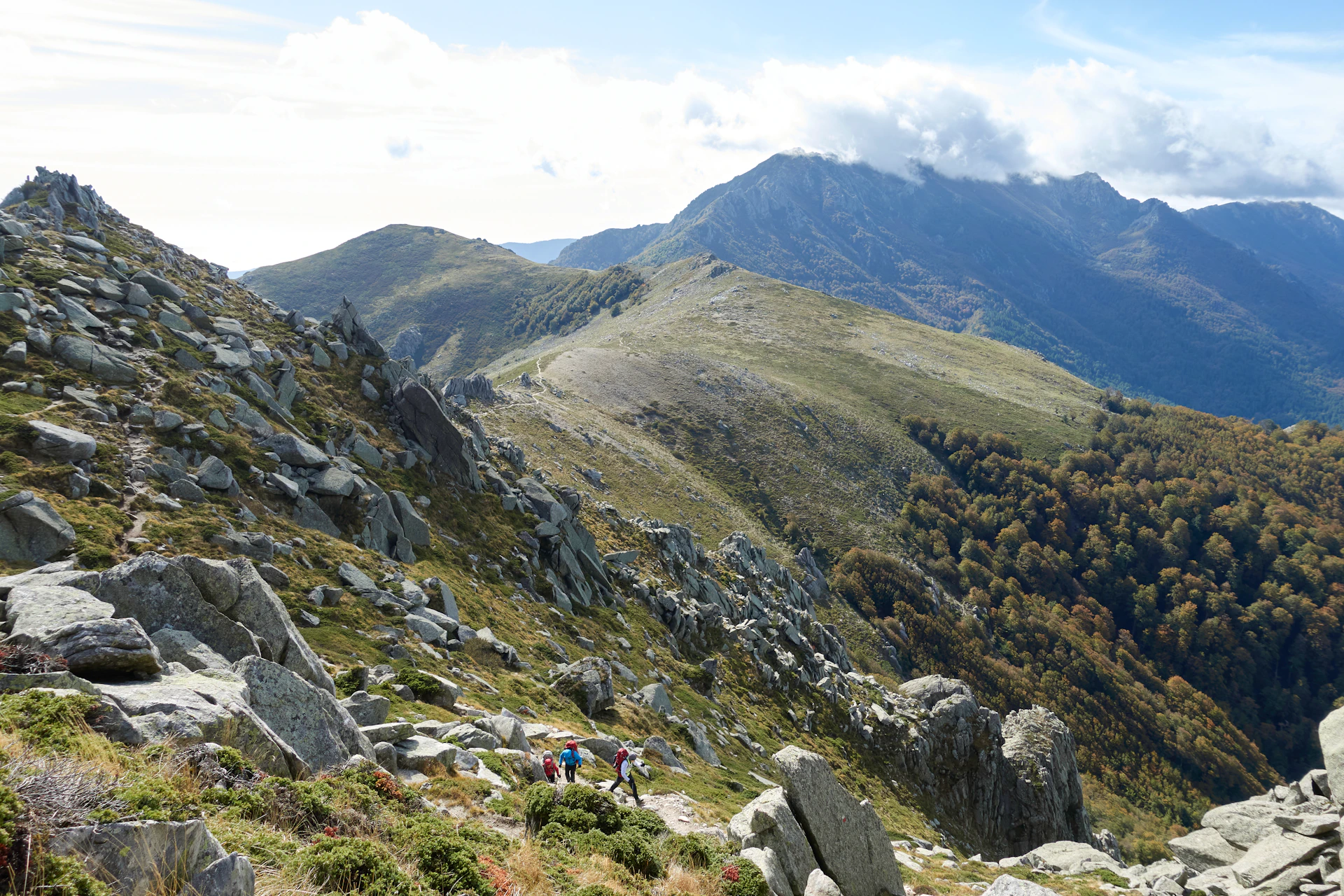 An adventurous group hiking along a rugged mountain trail, surrounded by lush green forests and dramatic peaks under a bright blue sky.