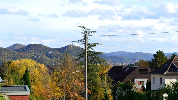 A residential area with several houses partially hidden behind tall trees in full autumnal bloom. Hills with lush greenery and patches of colorful foliage are visible in the background under a sky filled with scattered clouds. A tall tree and an electric pole stand in the foreground.