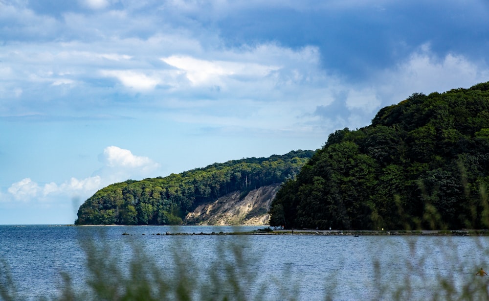 green trees near body of water under white clouds during daytime