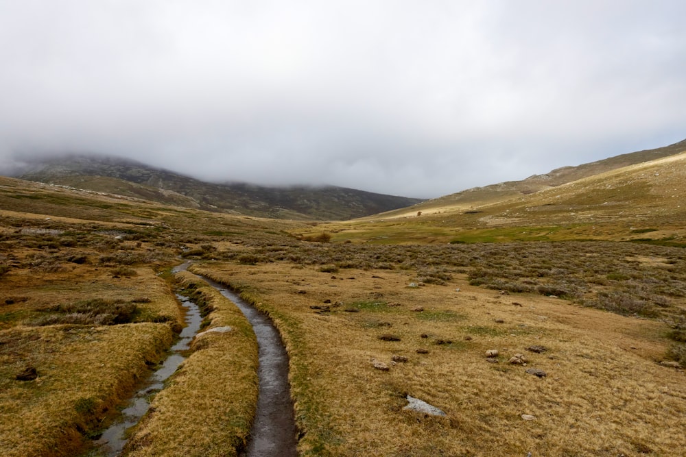 green grass field and mountain during daytime