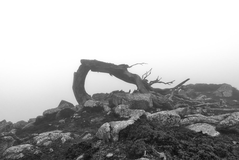 foto em escala de cinza de um homem de pé em uma colina rochosa