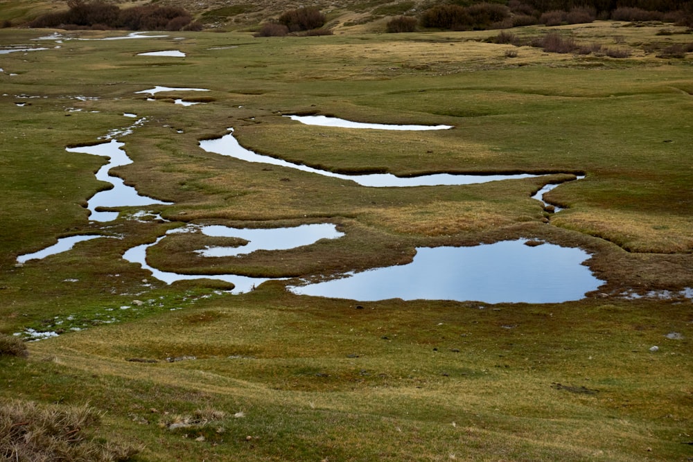 green grass field near lake during daytime