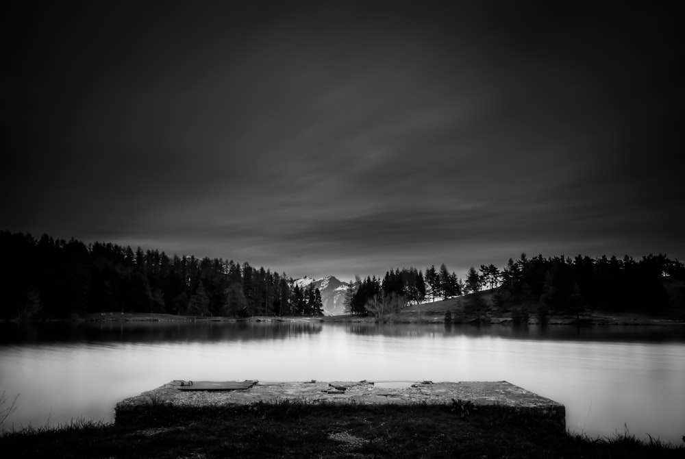 grayscale photo of lake surrounded by trees