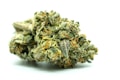 用户福利
