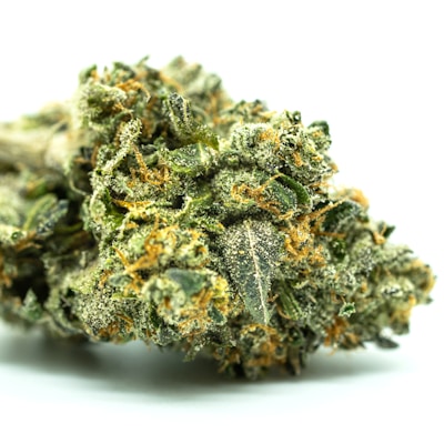 Glass Filter Tips - 50 Pack