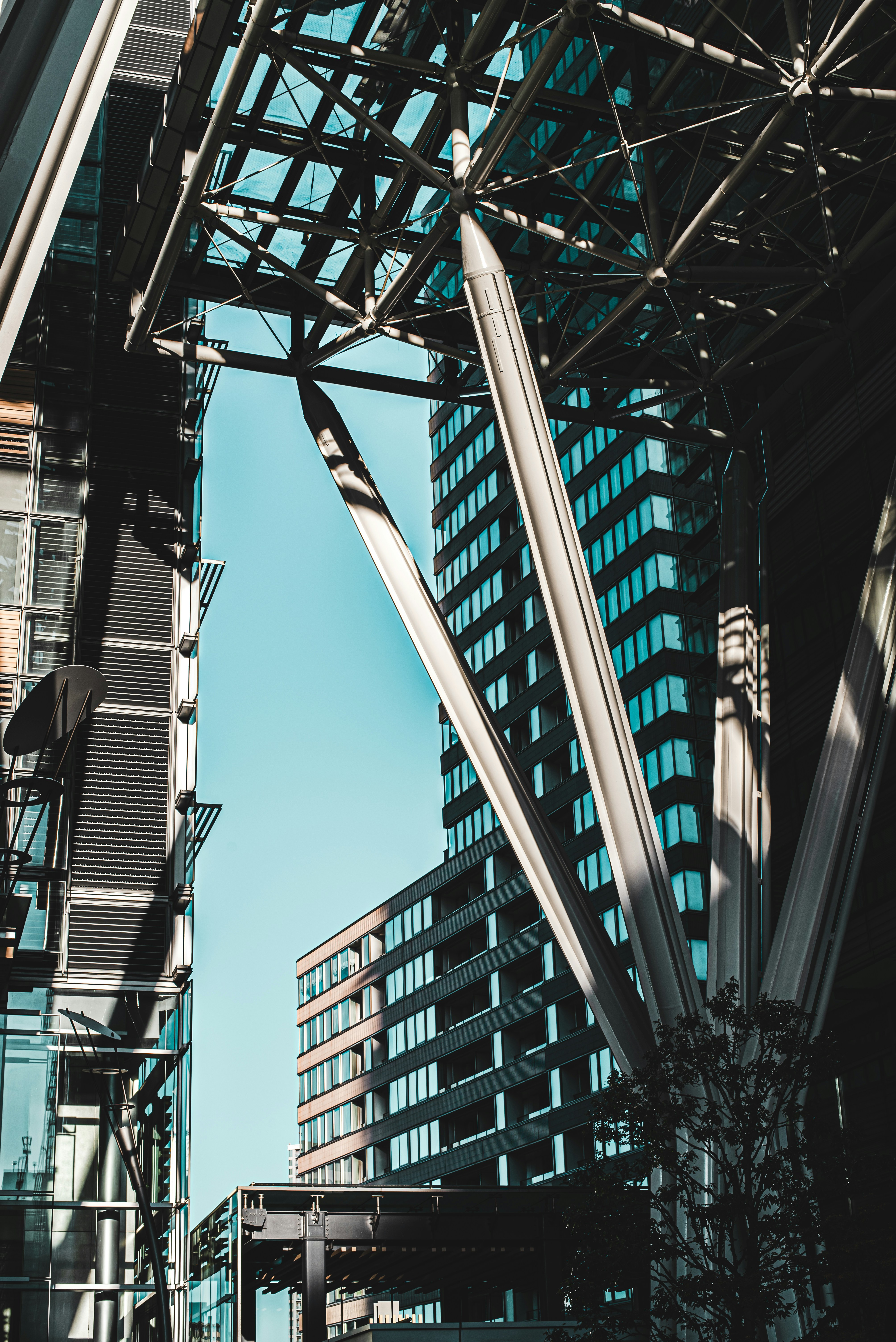 Photo by ryunosuke_kikuno