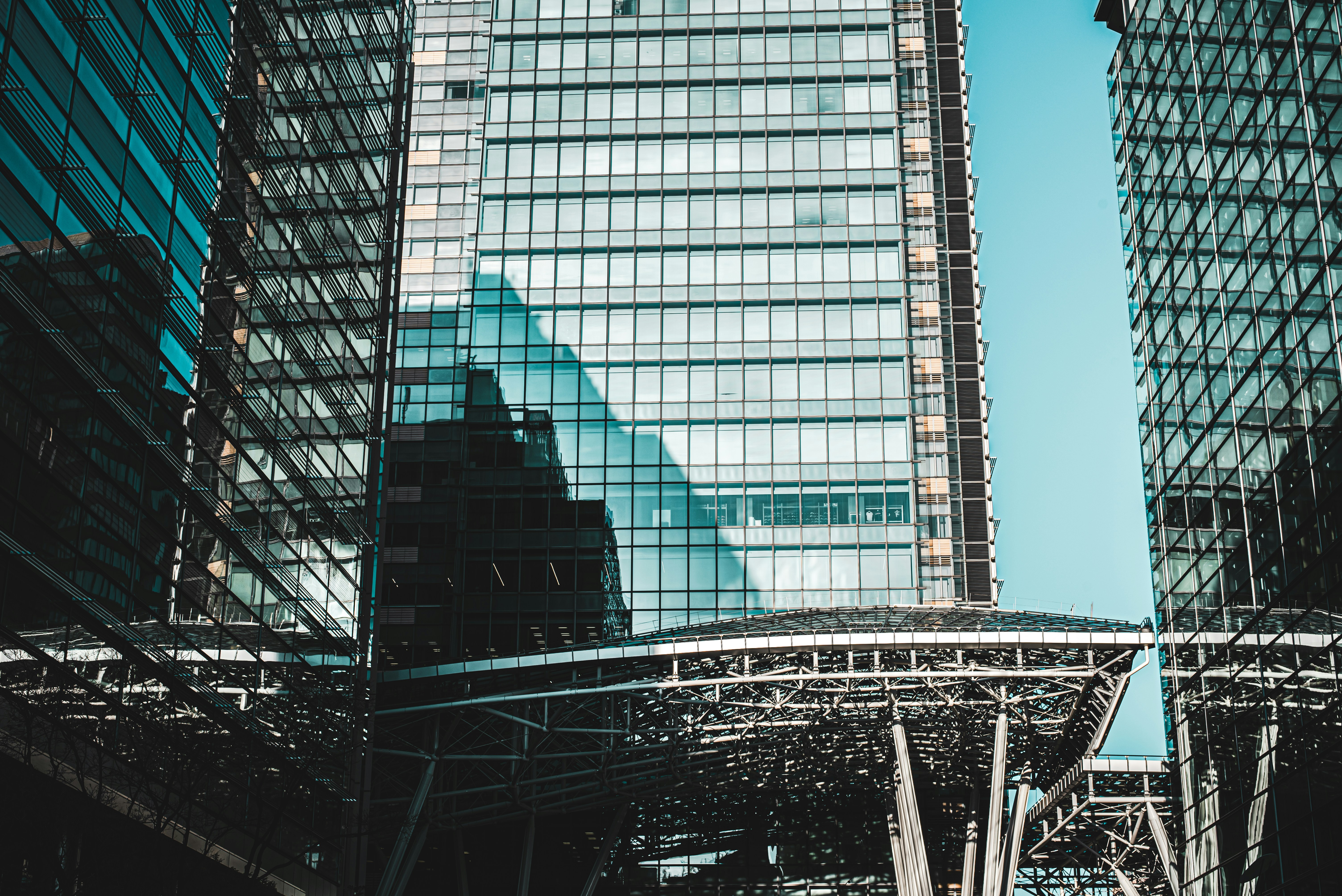 Photo by ryunosuke_kikuno