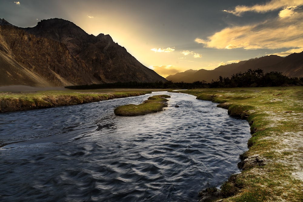 body of water near green grass field during daytime