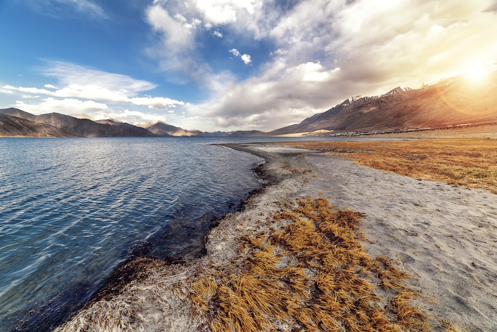 body of water near brown field under blue and white cloudy sky during daytime