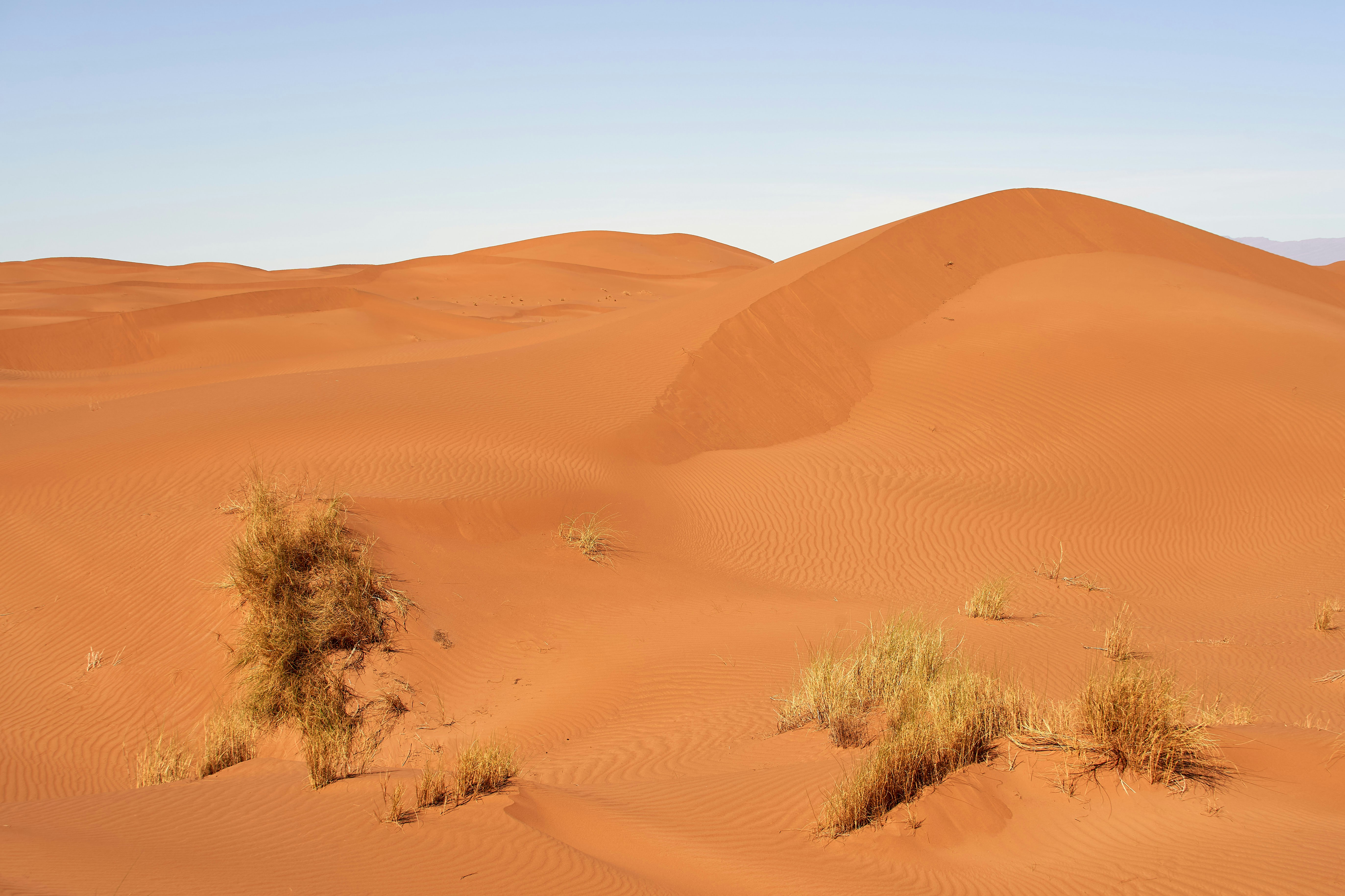 Photo by wolfgang_hasselmann