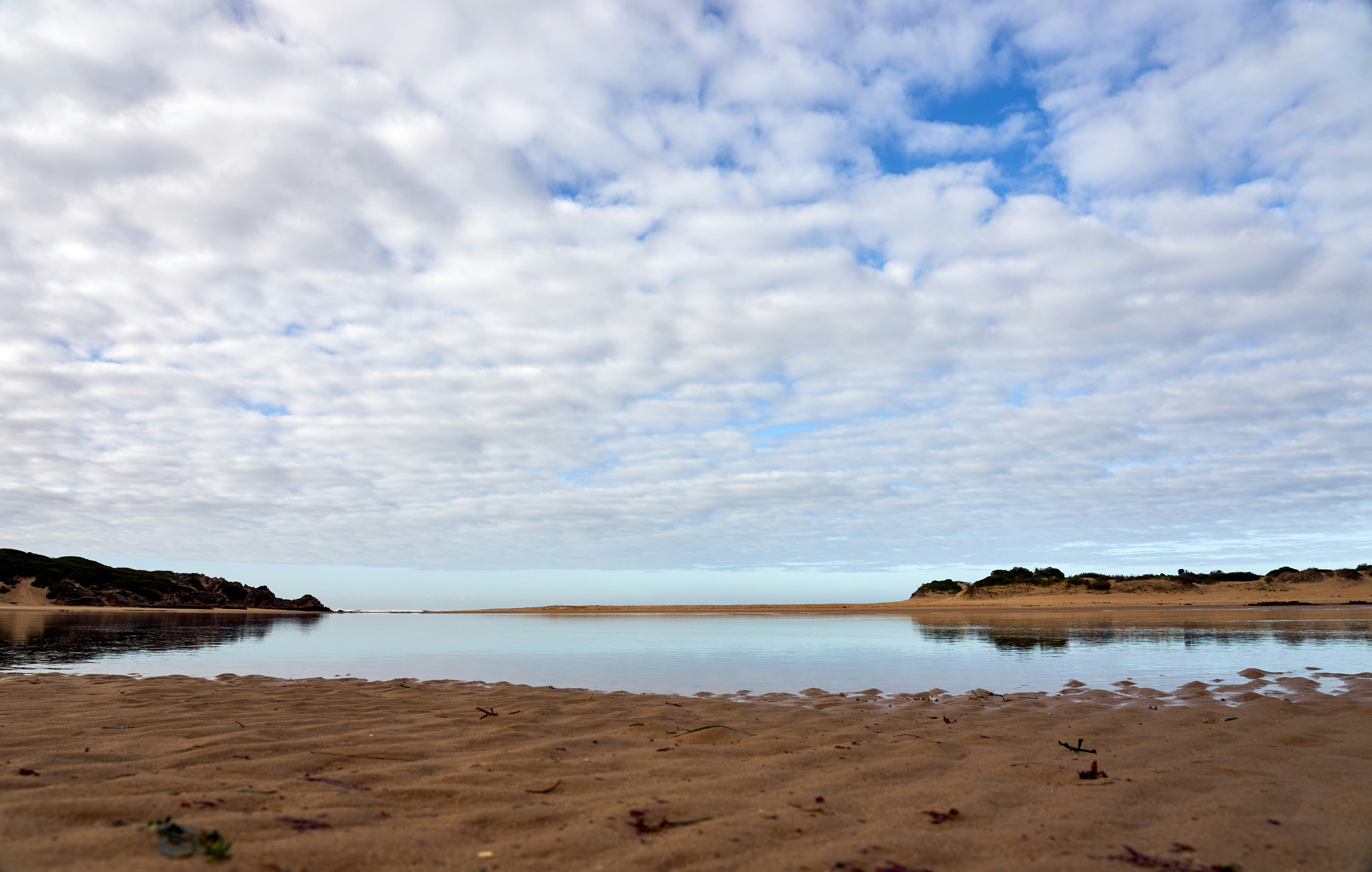 Photo by wolfgang_hasselmann