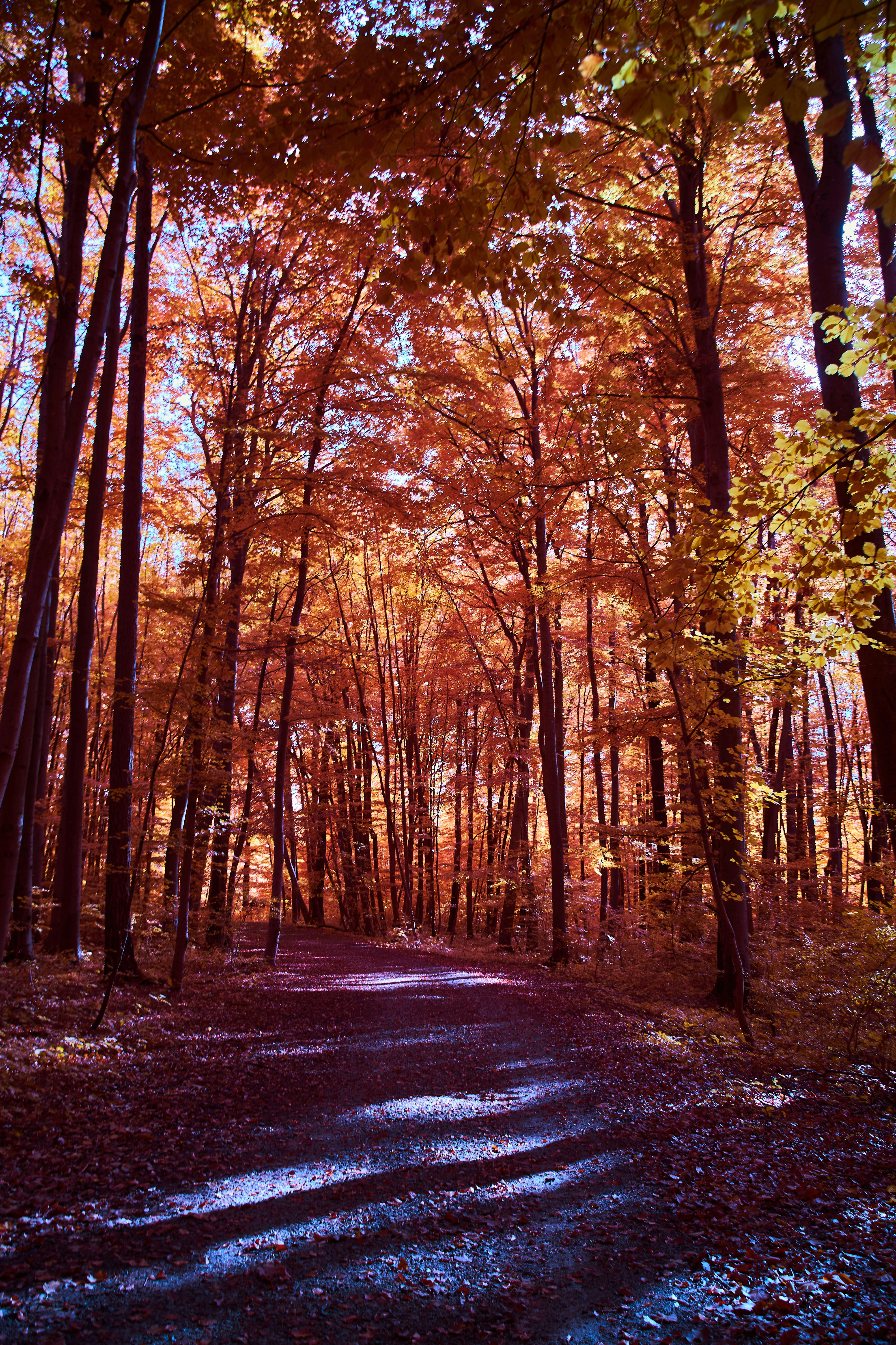 Photo by wolfgang_hasselmann