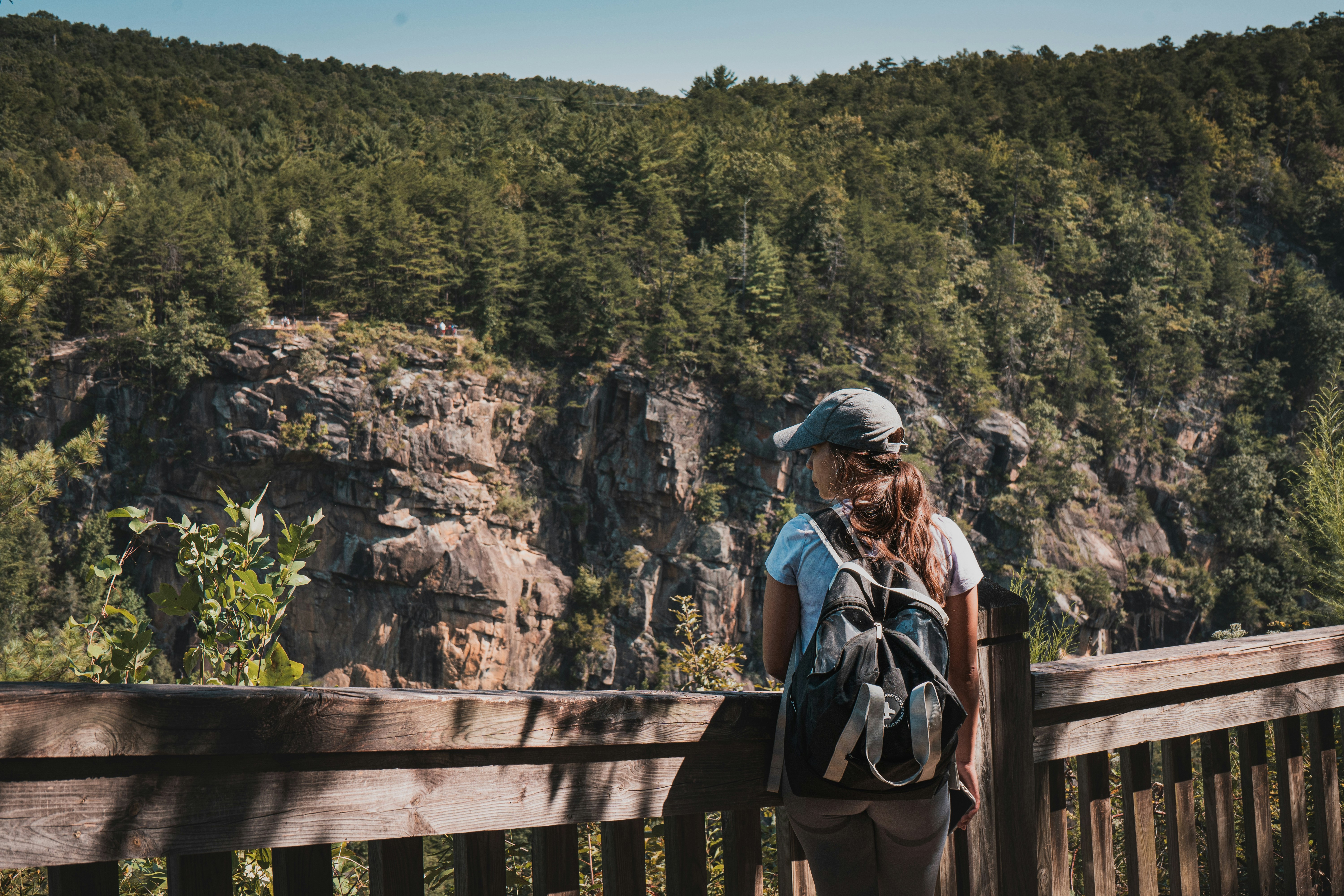 Nacoochee Park