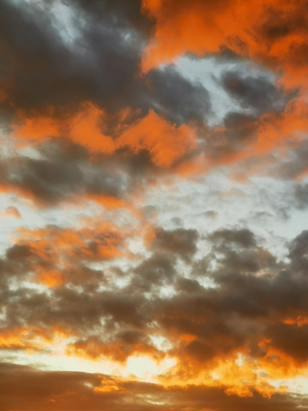 Nubes blancas y cielo azul durante el día