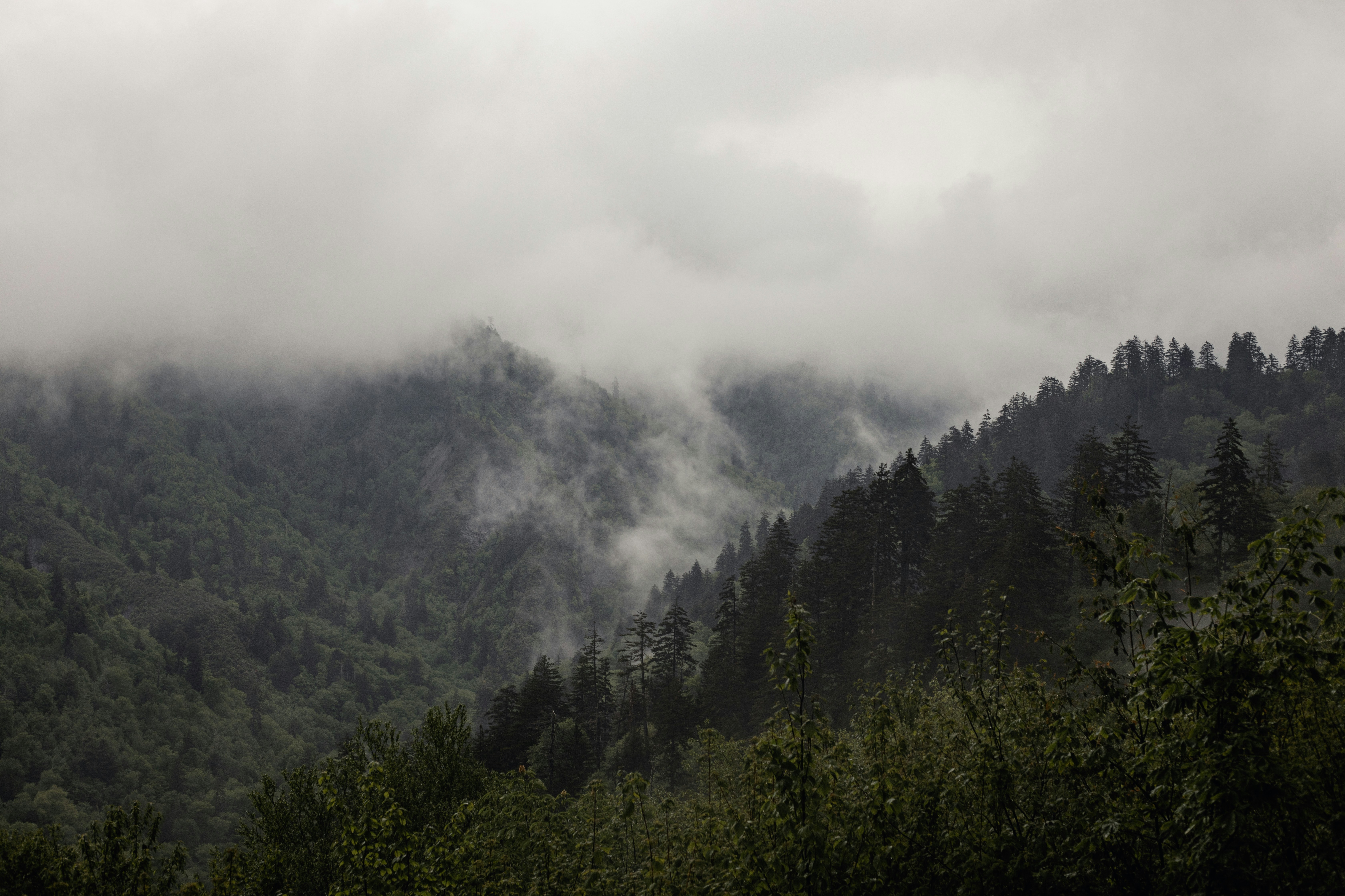 Photo by ethanwalsweer