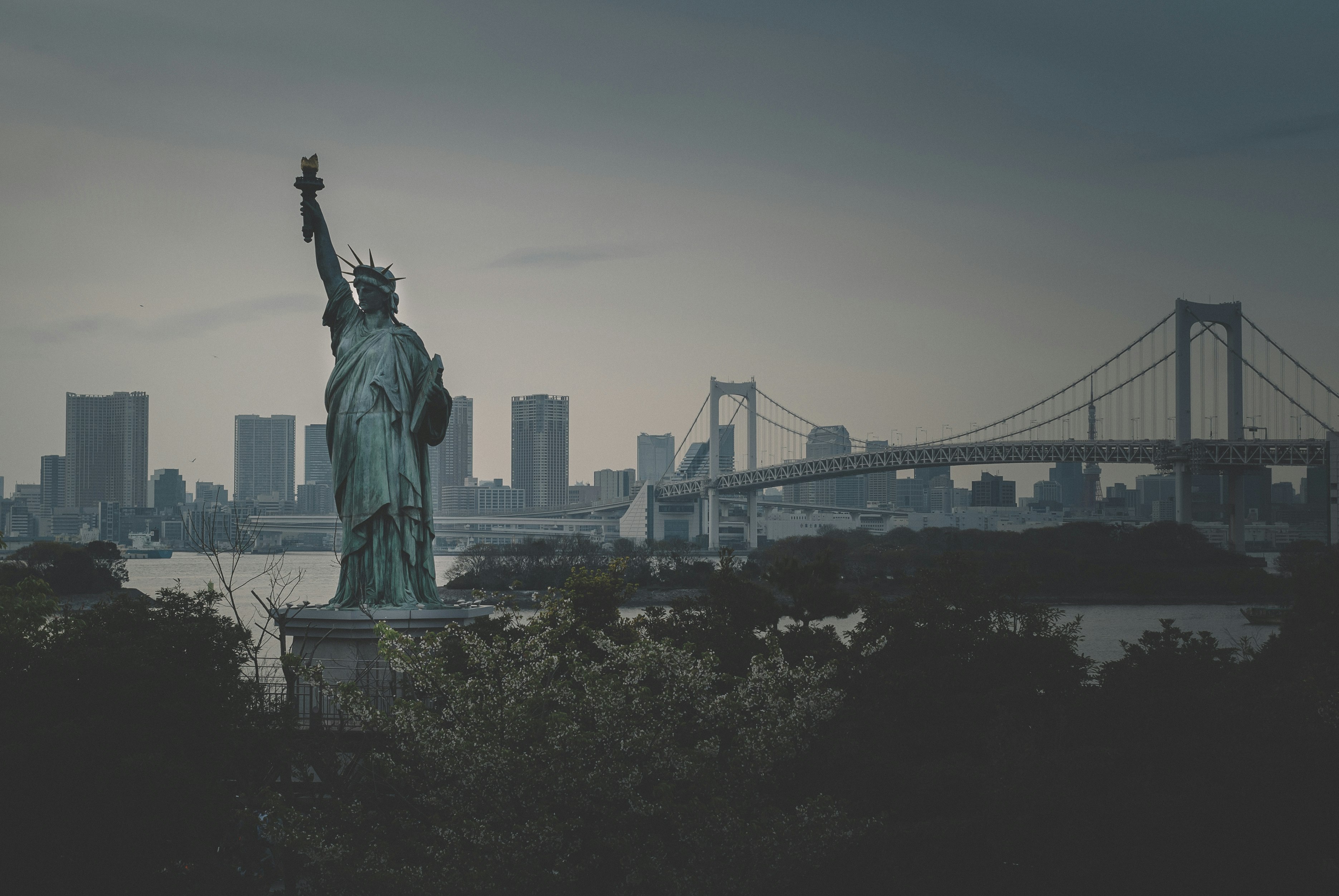 free stock videos 4k