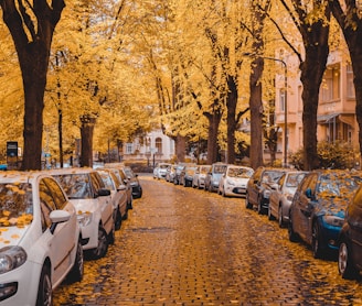 cars parked on the side of the road during daytime