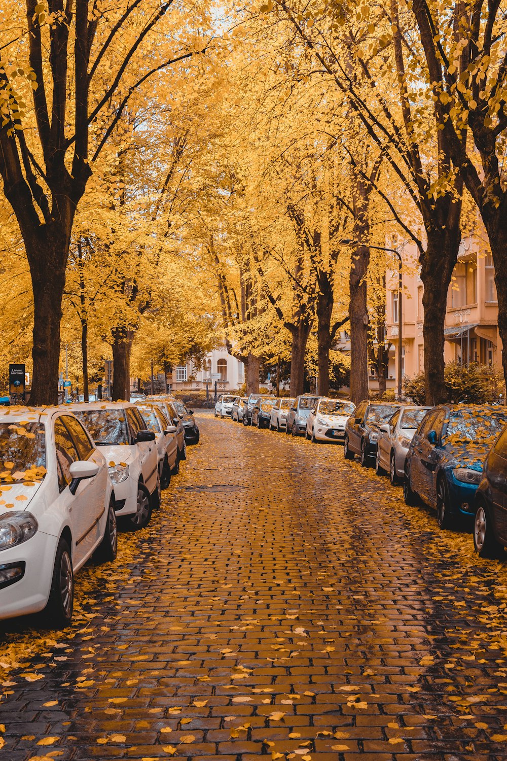 cars parked on the side of the road during daytime