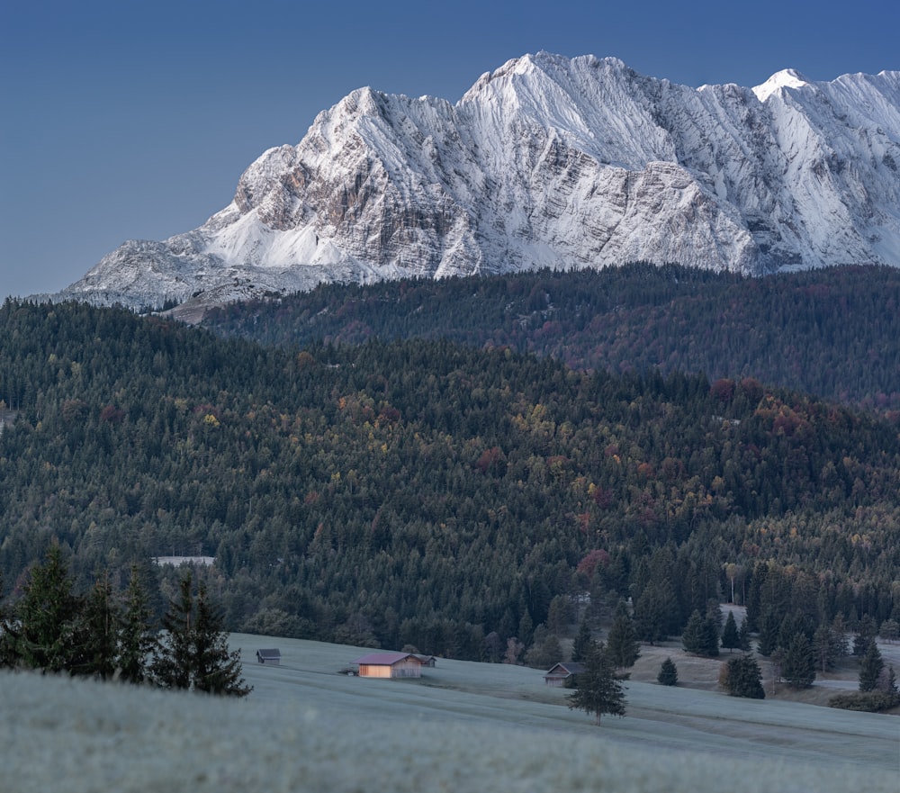 gray car on road near trees and mountain