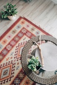 green plant on red and white area rug