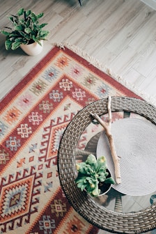 green plant on red and white area rug