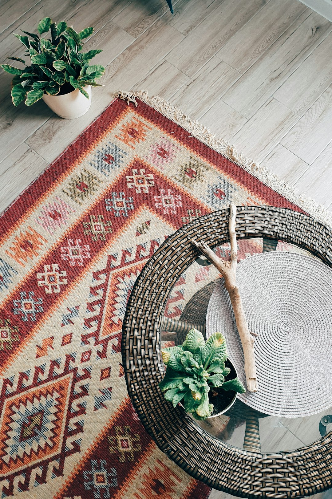  green plant on red and white area rug rug