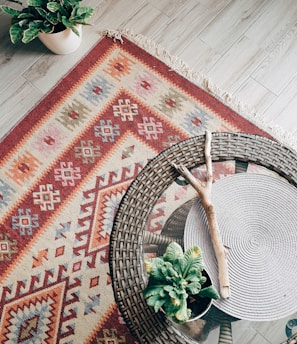 green plant on red and white area rug