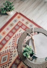 green plant on red and white area rug