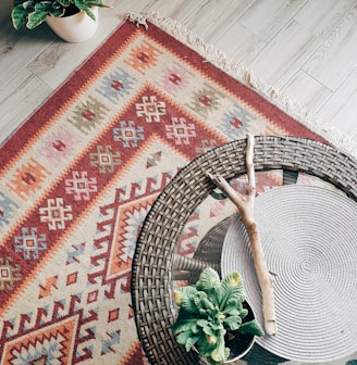 green plant on red and white area rug