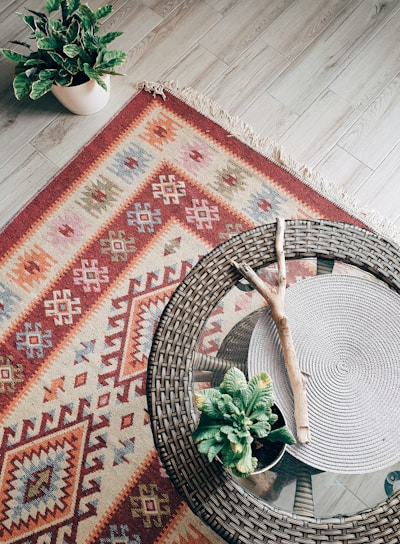 green plant on red and white area rug