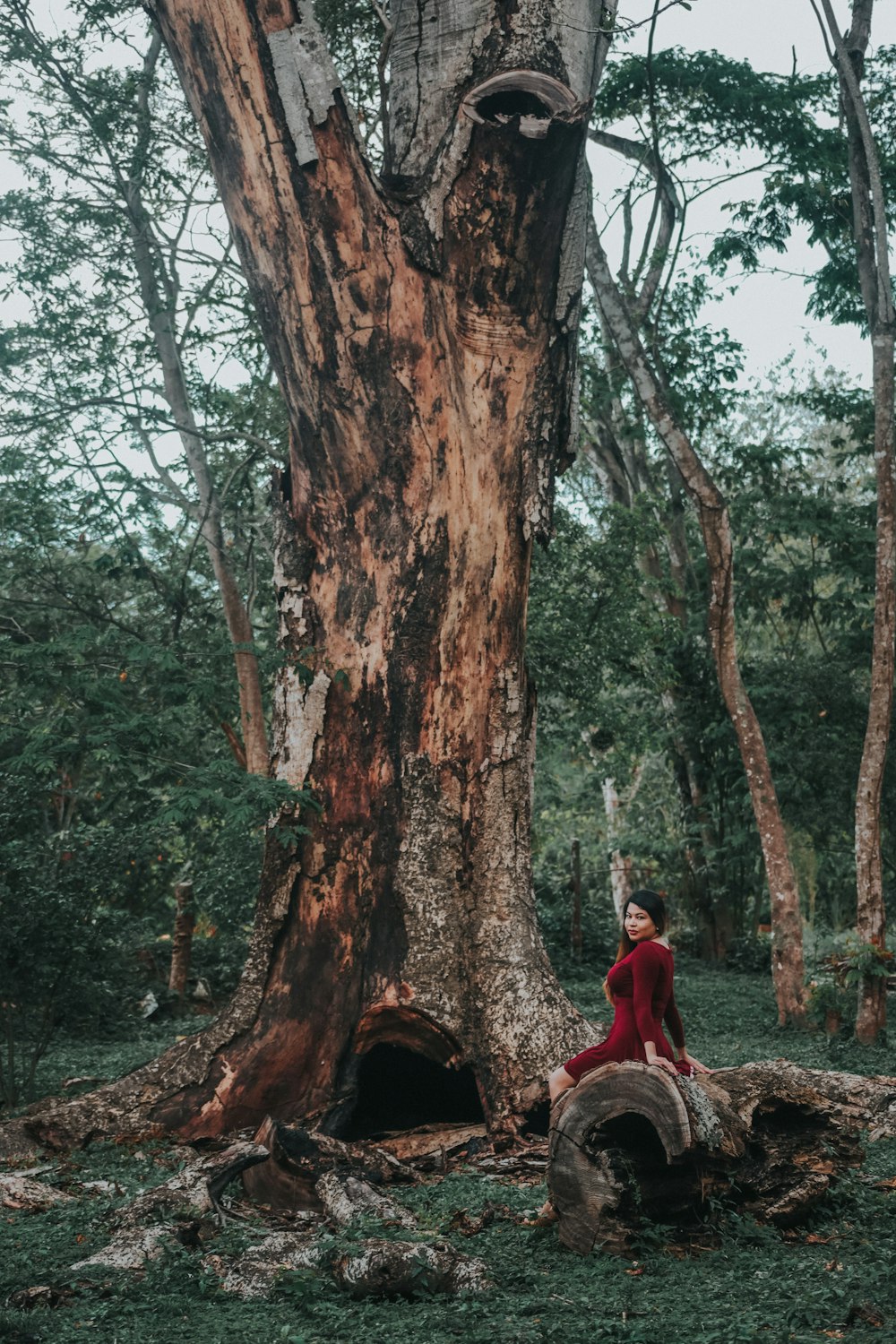 a woman in a red dress sitting in front of a tree