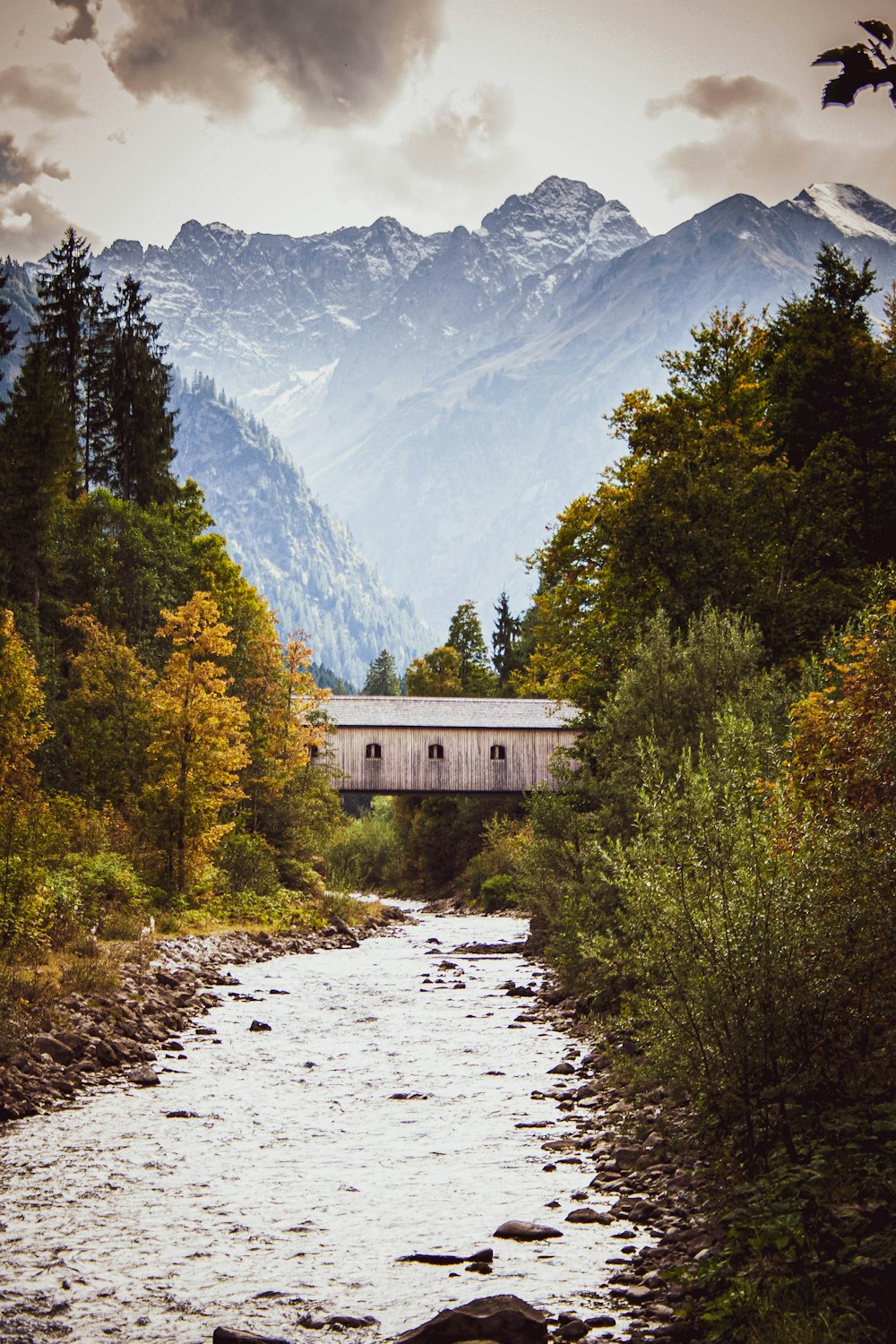 white and brown house near green trees and mountain during daytime