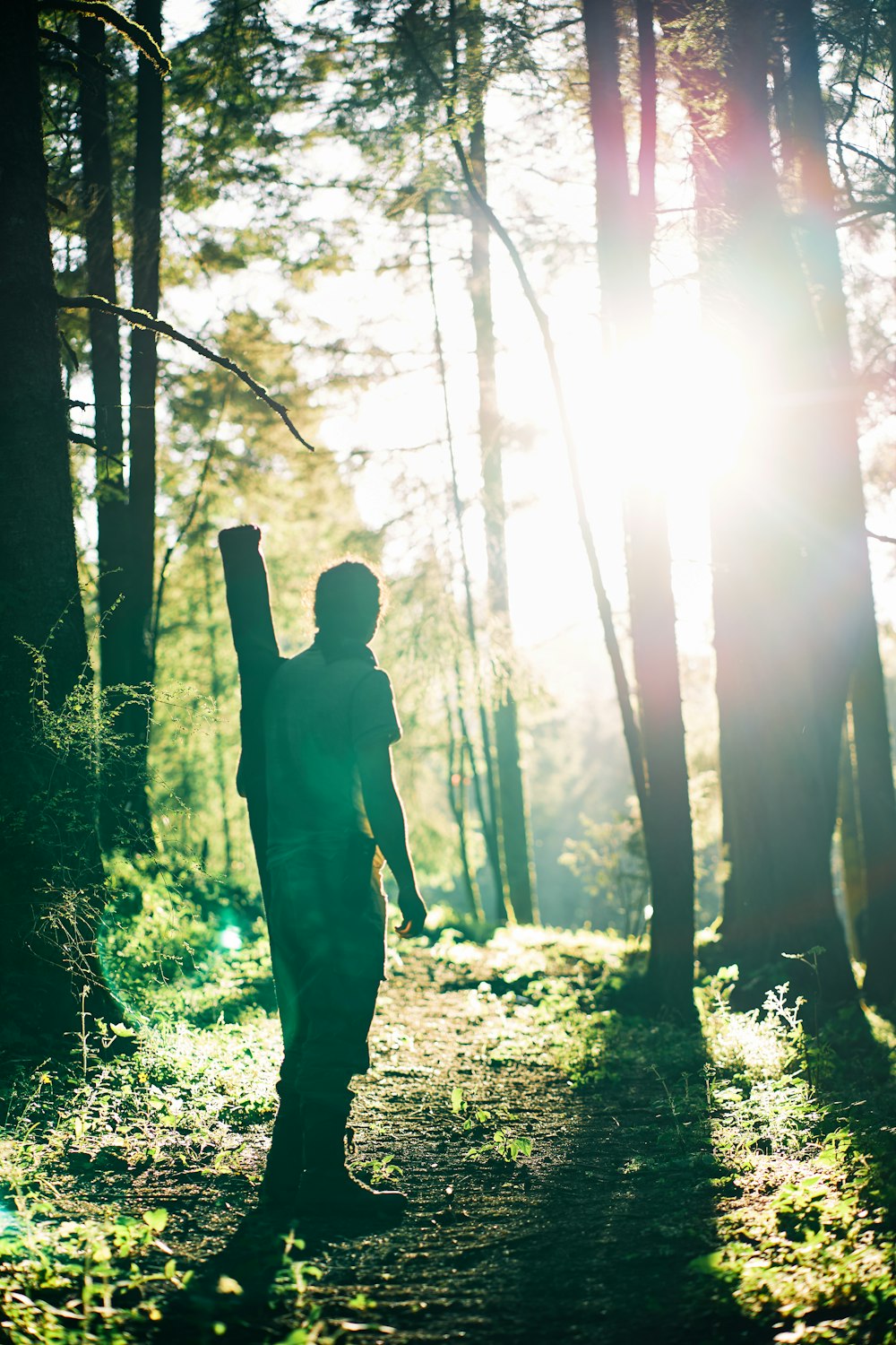 silhouette of man standing in forest during daytime