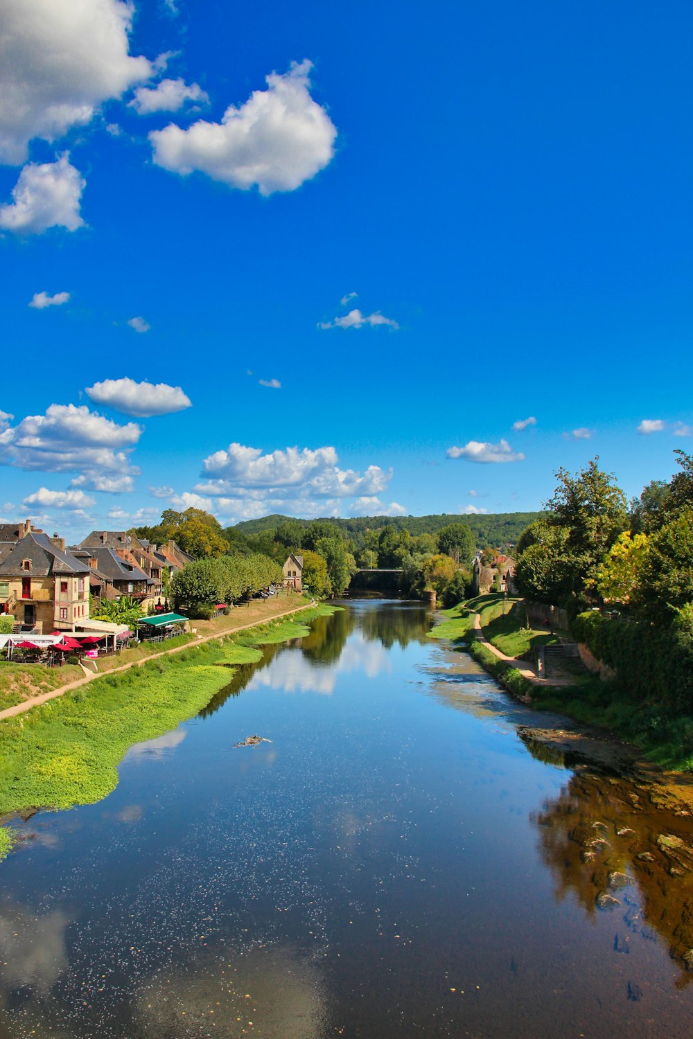 Grüne Bäume in der Nähe des Flusses unter blauem Himmel während des Tages