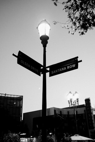 A black and white image featuring a street signpost with two street names, Olsen Drive and Santana Row, intersecting under a glowing streetlamp. In the background, modern buildings can be seen along with another streetlamp. There are also some tree branches with leaves visible on one side.