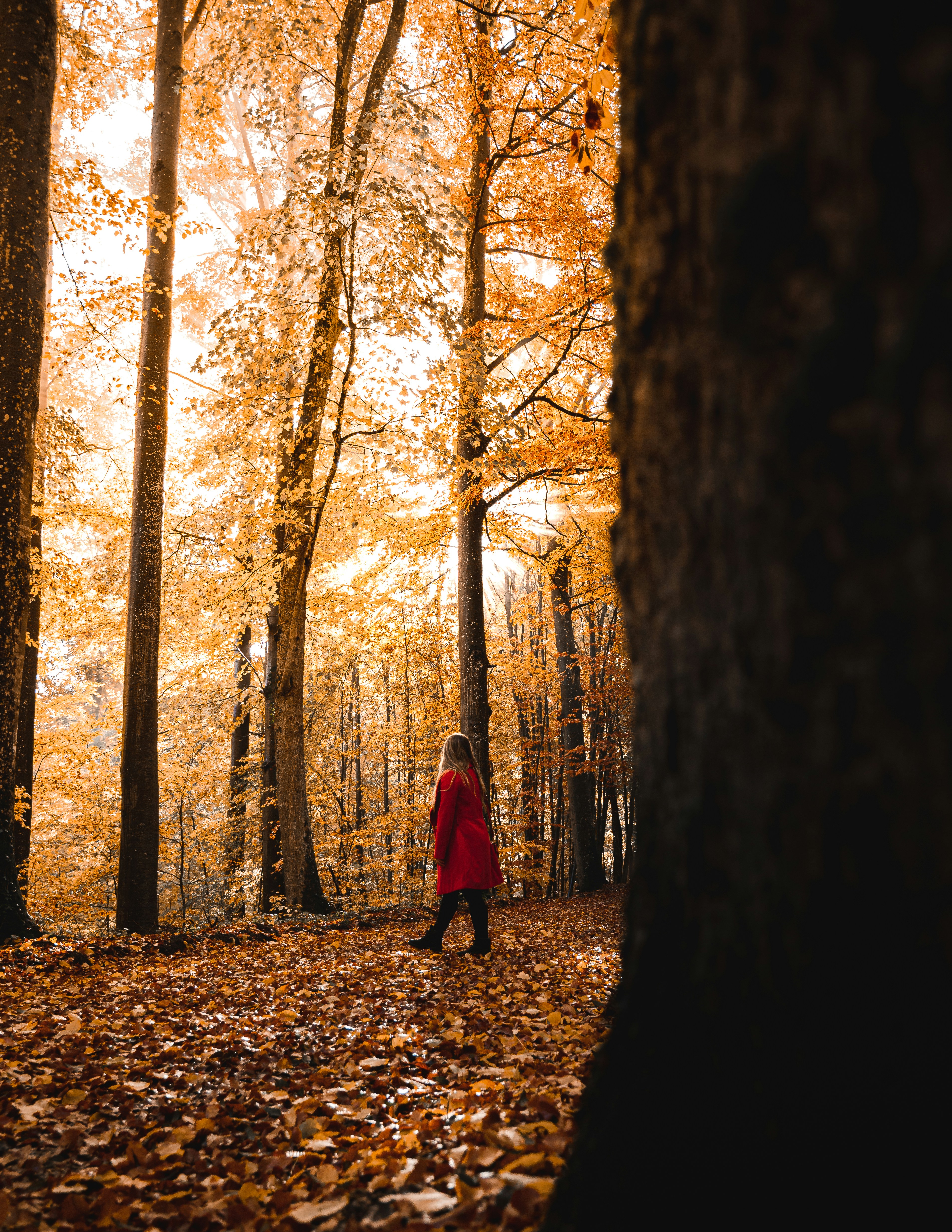 Photo by adamneumann