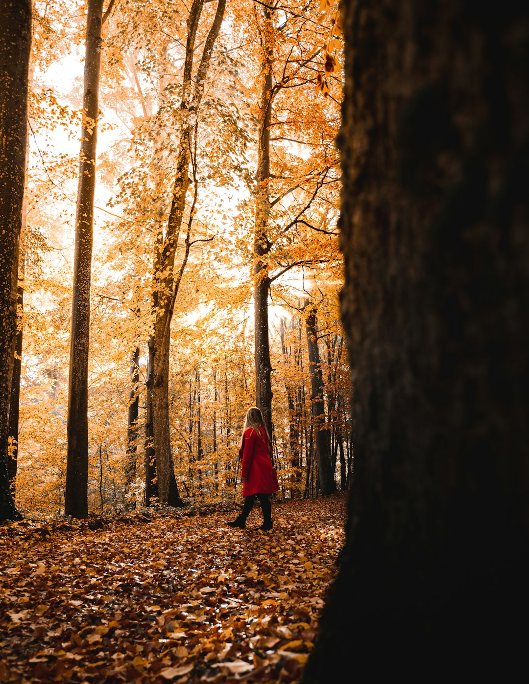 woman in red coat walking on forest during daytime