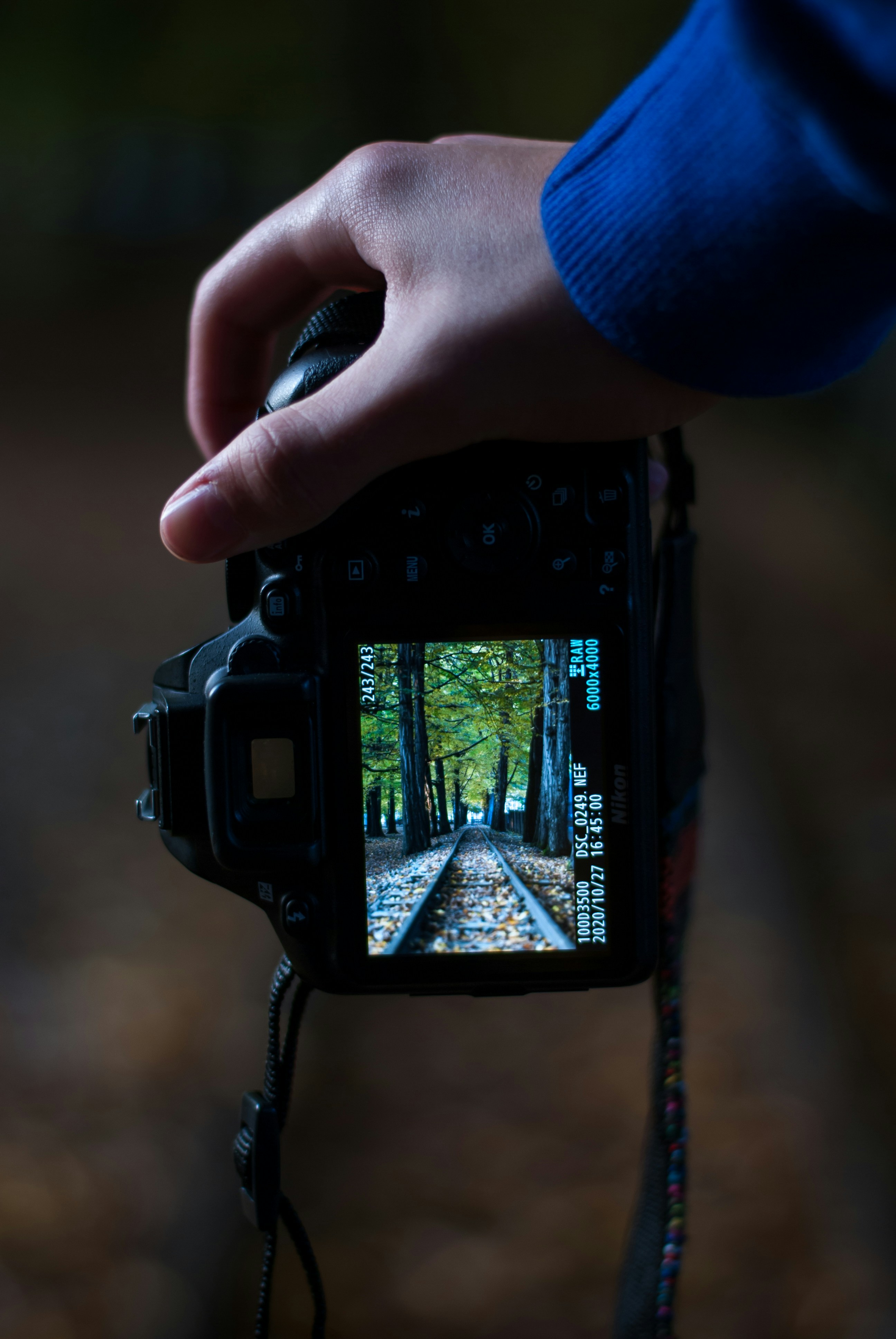 Photo by bogdan09