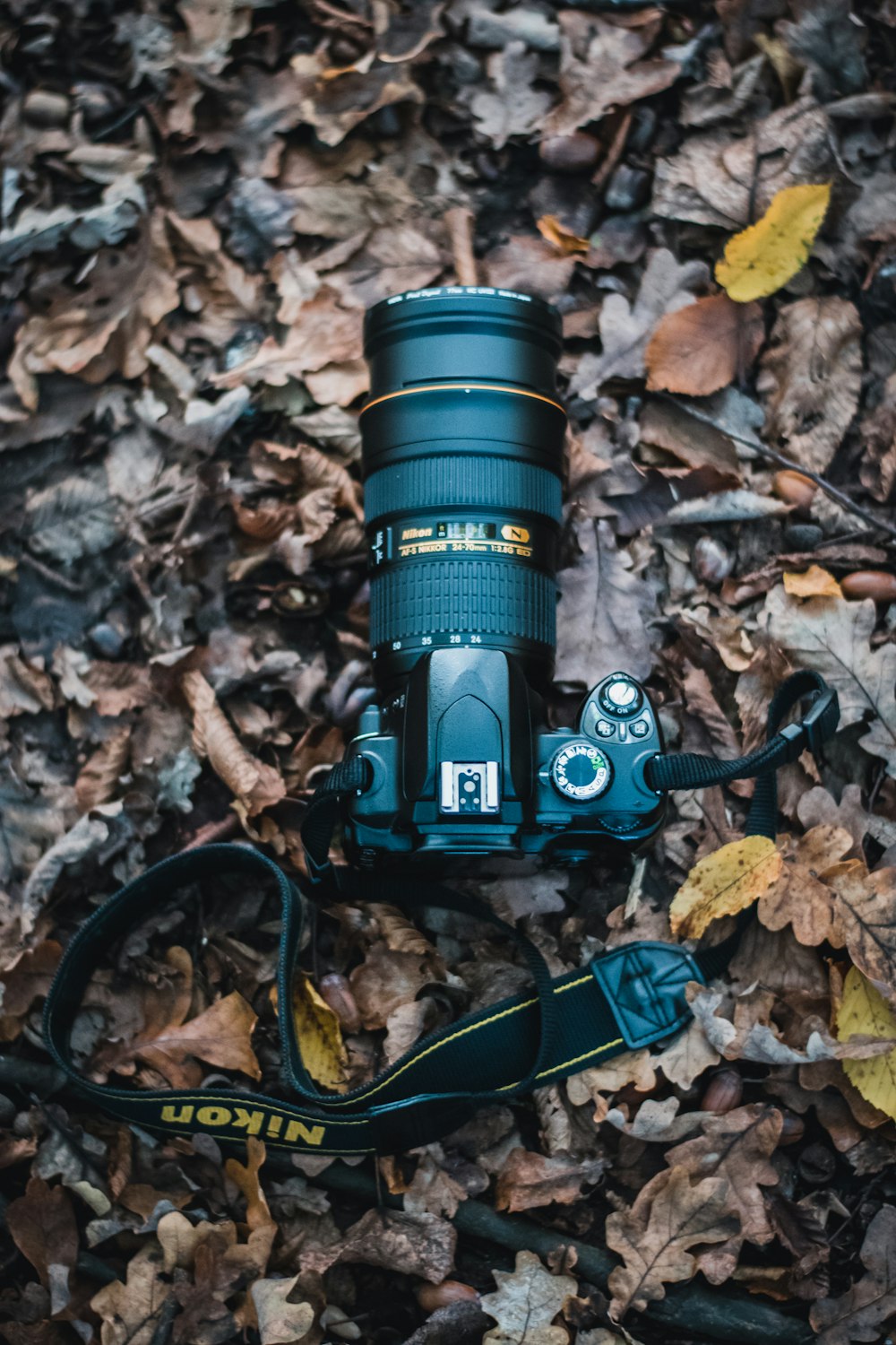 black and green dslr camera on dried leaves