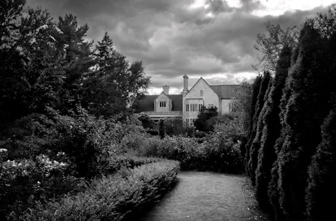 white and gray house near trees and river