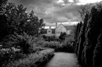 white and gray house near trees and river