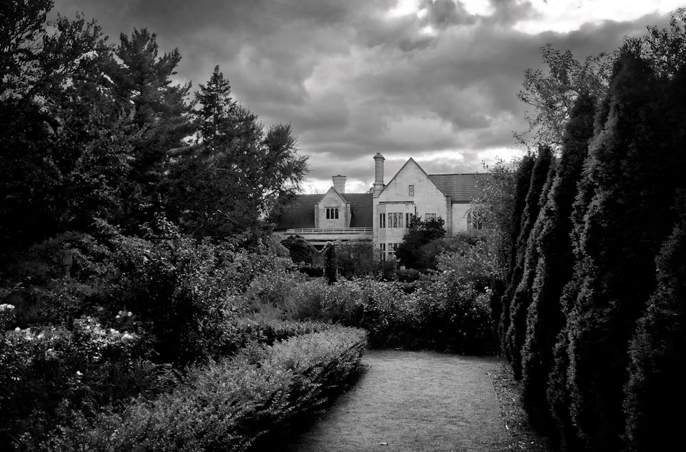 white and gray house near trees and river