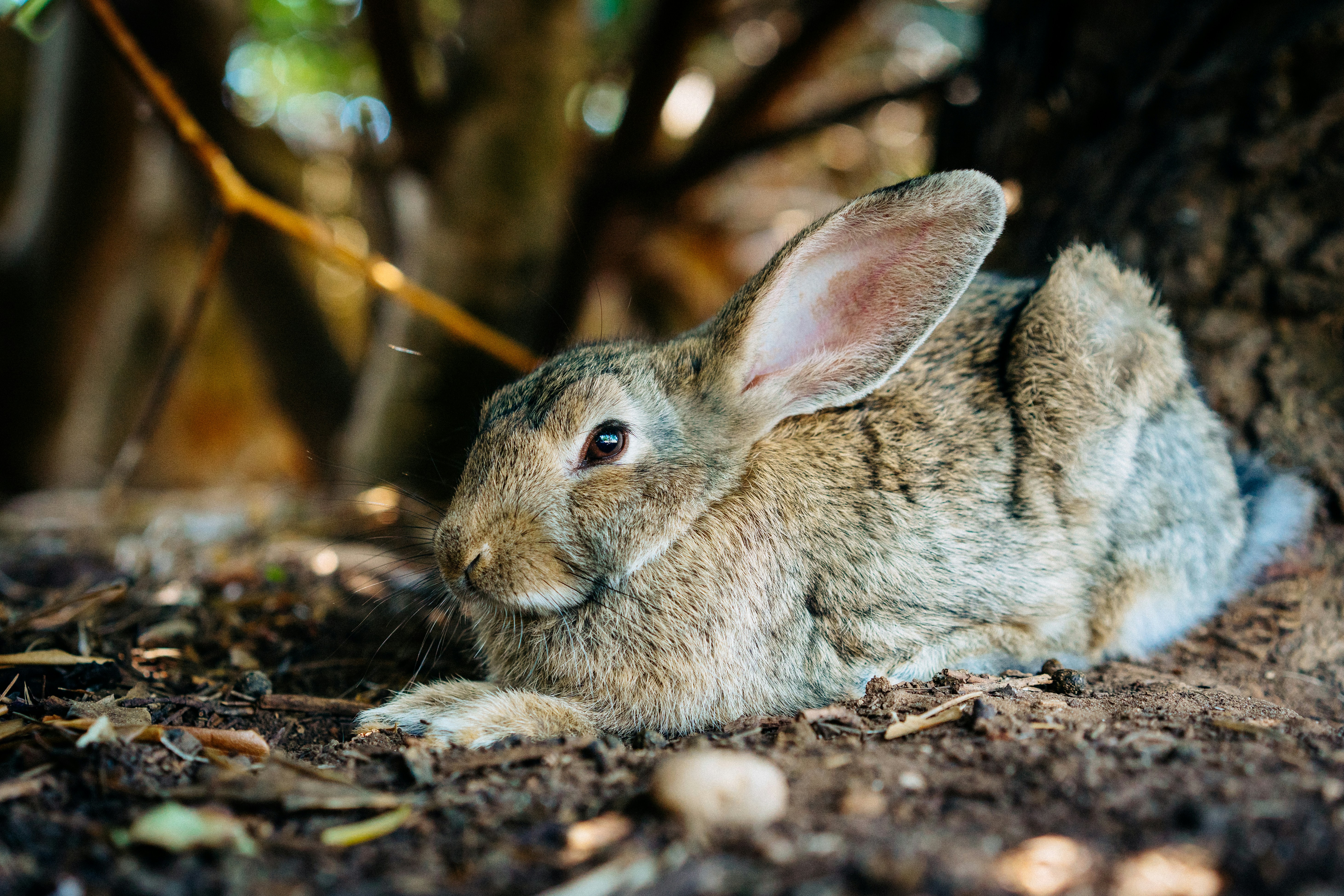 Photo by keizgoesboom